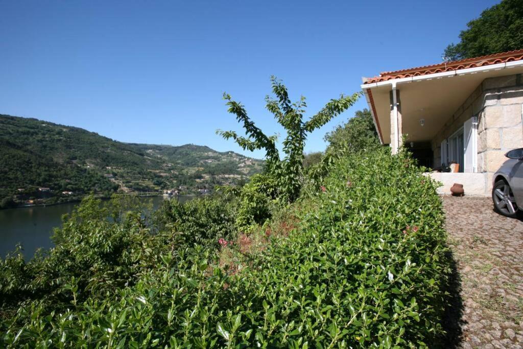 Douro Valley - Casa Do Campo Resende Covelas  Exteriör bild